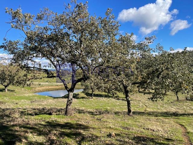 Granja En venta en Trujillo photo 0