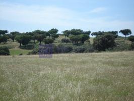 Otro En venta en Navalmoral De La Mata photo 0