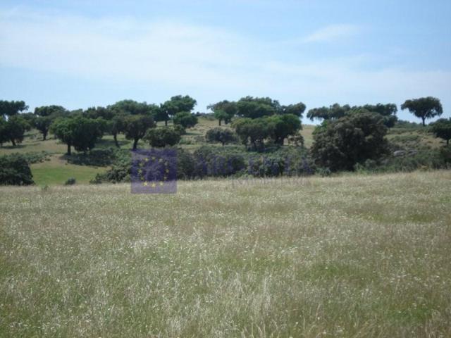 Otro En venta en Navalmoral De La Mata photo 0