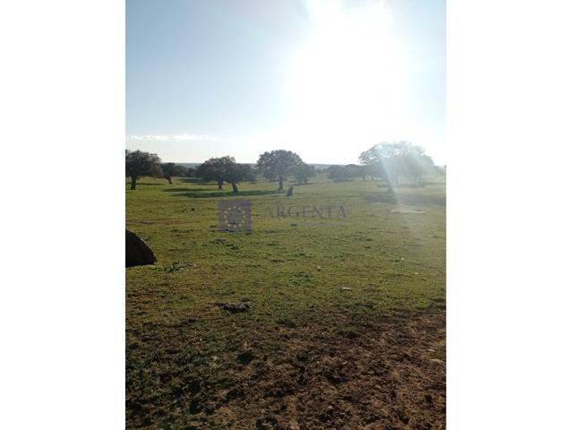 Otro En venta en Trujillo photo 0