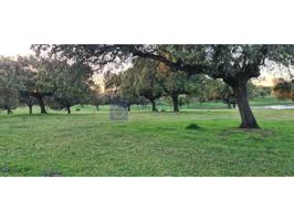 Otro En venta en Malpartida De Plasencia photo 0