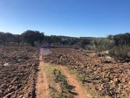 Granja En venta en Valencia De Alcántara photo 0