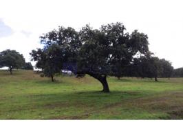 Granja En venta en Plasencia photo 0