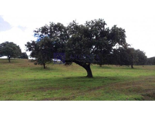 Granja En venta en Plasencia photo 0