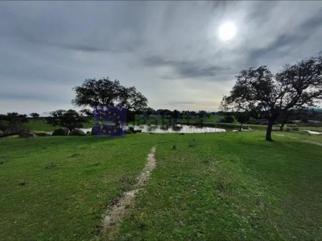 Otro En venta en Mérida photo 0