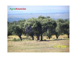 Otro En venta en Aldea Del Cano photo 0