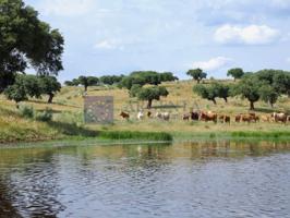 Otro En venta en Plasencia photo 0