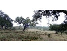 Granja En venta en Navalmoral De La Mata photo 0