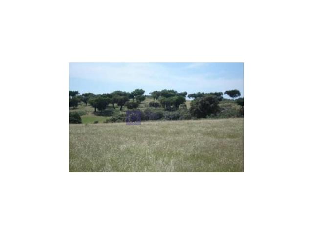 Granja En venta en Navalmoral De La Mata photo 0