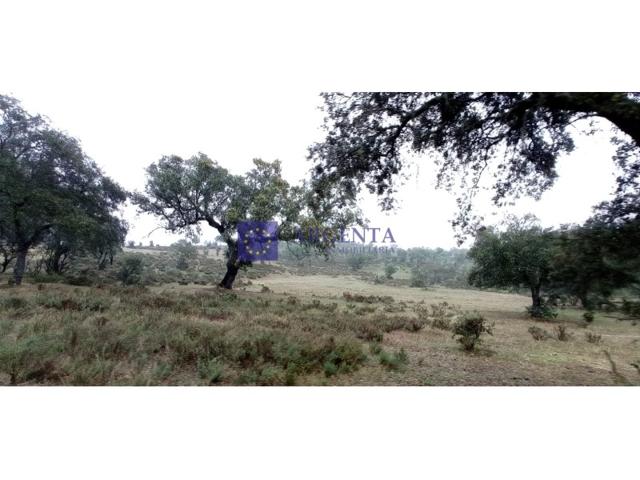 Granja En venta en Navalmoral De La Mata photo 0