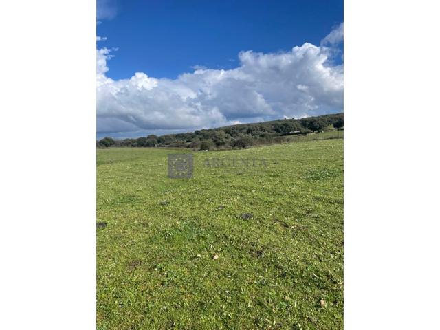 Otro En venta en Plasencia photo 0
