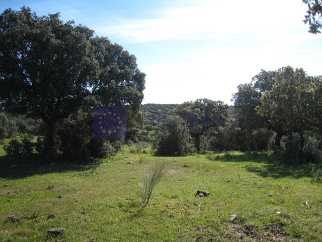 Otro En venta en Cáceres photo 0