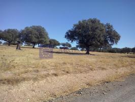 Otro En venta en Trujillo photo 0