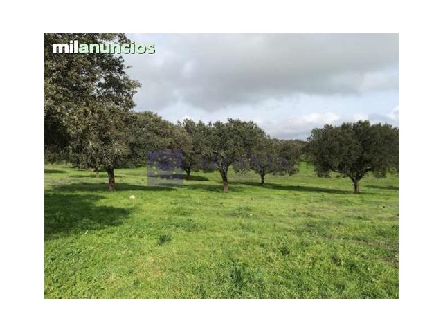 Otro En venta en Coria photo 0