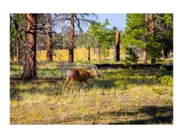 Granja En venta en Moraleja photo 0