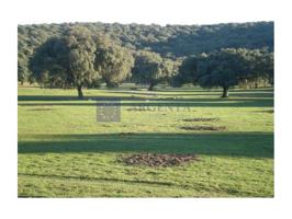 Otro En venta en Coria photo 0