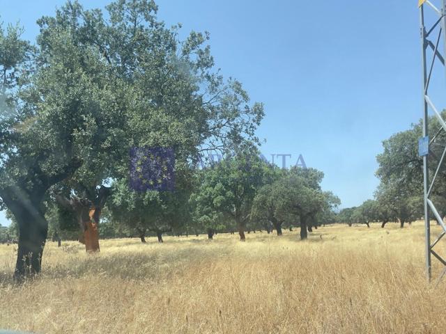 Otro En venta en Coria photo 0