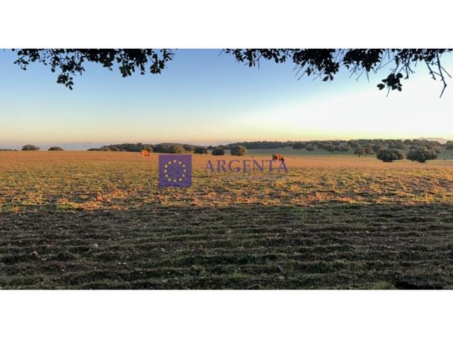 Otro En venta en Trujillo photo 0