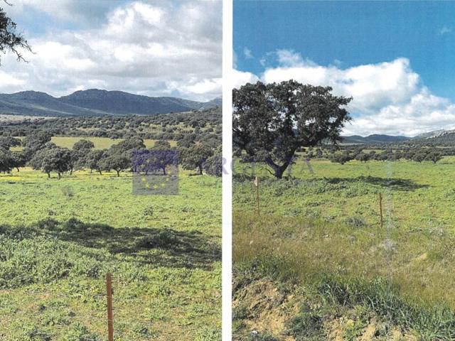 Otro En venta en Alcuéscar photo 0