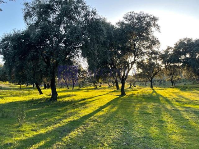 Otro En venta en Monroy photo 0