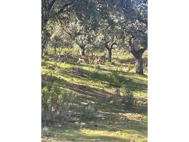 Otro En venta en Trujillo photo 0