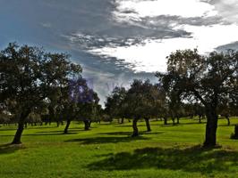 Granja En venta en Trujillo photo 0