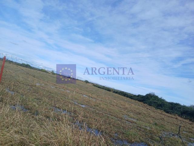 Granja En venta en Coria photo 0