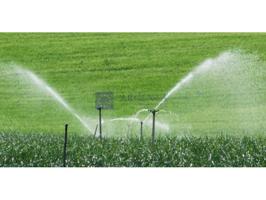 Otro En venta en Coria photo 0