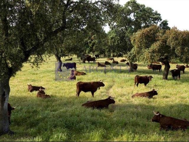 Otro En venta en Trujillo photo 0