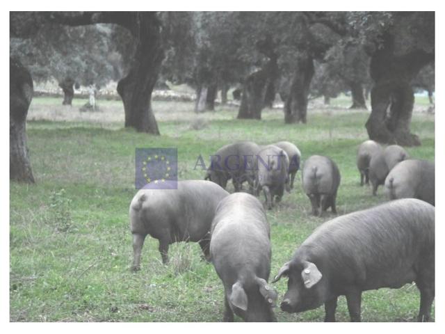 Otro En venta en Don Benito photo 0