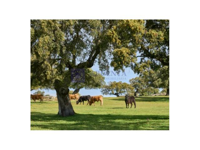 Otro En venta en Coria photo 0