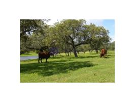 Otro En venta en Trujillo photo 0