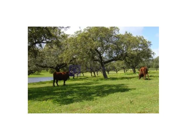 Otro En venta en Trujillo photo 0