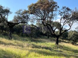 Granja En venta en Herguijuela photo 0
