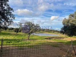 Otro En venta en Aliseda photo 0