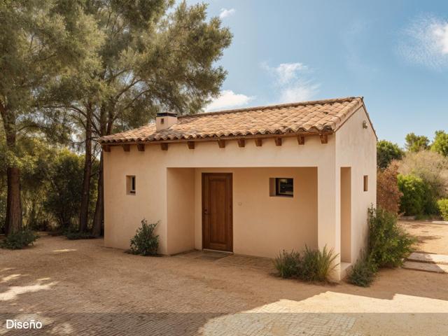 Refugio natural entre olivos: casita de campo abierta al paisaje en el Baladrar de Benissoda-Valencia photo 0