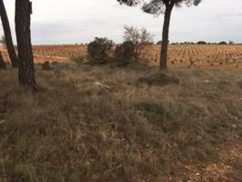 Terreno en venta en Quintanar del Rey photo 0