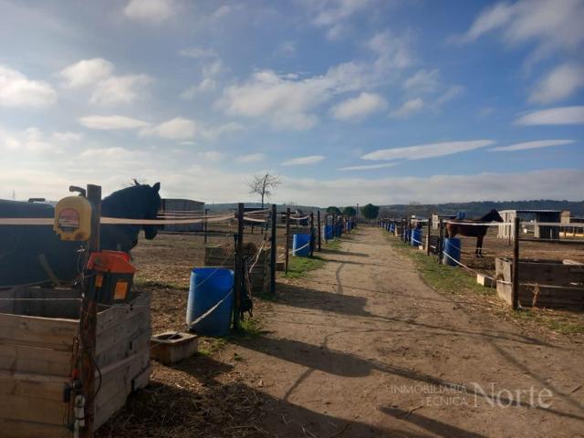 Granja En venta en Fuente El Saz De Jarama photo 0
