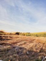 Agrícola En venta en Guadalupe, Murcia photo 0