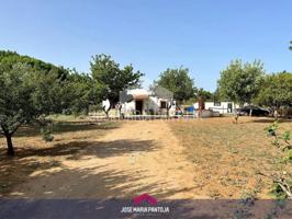 Parcela con vivienda y nave en plena naturaleza photo 0