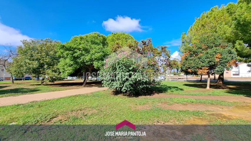 Adosado en Urbanización el Pinar photo 0