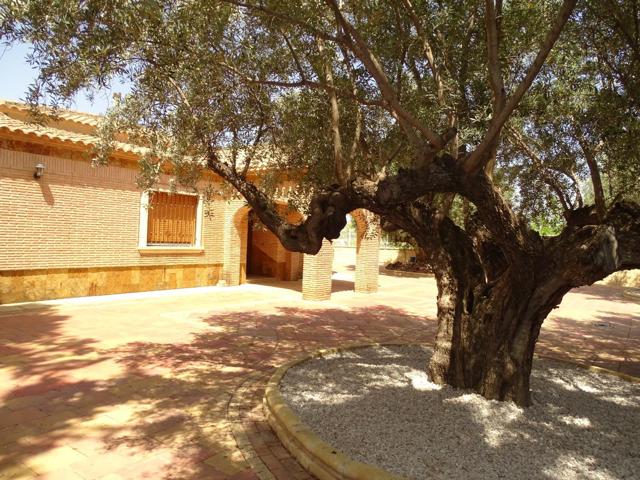 Otro En venta en Campos del Río photo 0