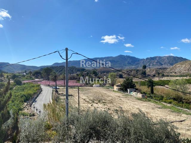 VENTA CASA EN HUERTA CON PARCELA EN BLANCA MURCIA photo 0