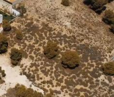 VENTA EN URBANIZACIÓN EL COTO DE PARCELA DE 1000 METROS PARA TU NUEVO HOGAR photo 0
