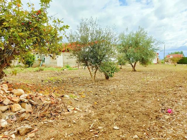 VENTA DE CASA CON PARCELA EN HUERTA DE ARRIBA CARRETERA DE ALGUAZAS photo 0