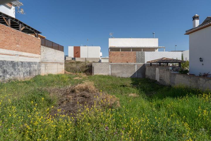 Terreno urbano en Vista Alegre, Peligros photo 0