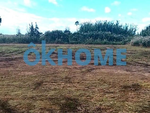 Solar Industrial de 1.861 m² en Puzol photo 0