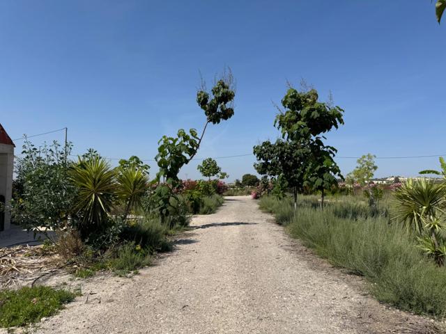 Finca rústica de 10.000 m² con 2 viviendas, nave y balsa en Las Jumillicas (Fortuna) photo 0