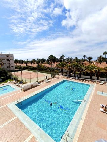 Se Alquila Apartamento en Playa del Ingles photo 0