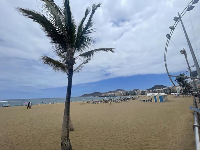 Centrico piso en playa de Las Canteras photo 0